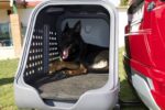 TowBox V2 Dog Camper - Image 10