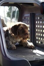 TowBox V2 Dog Camper - Image 11